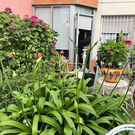 Apparemment Proche Tram Blagnac