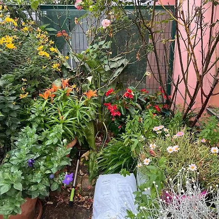 Appartement Apparemment Proche Tram *