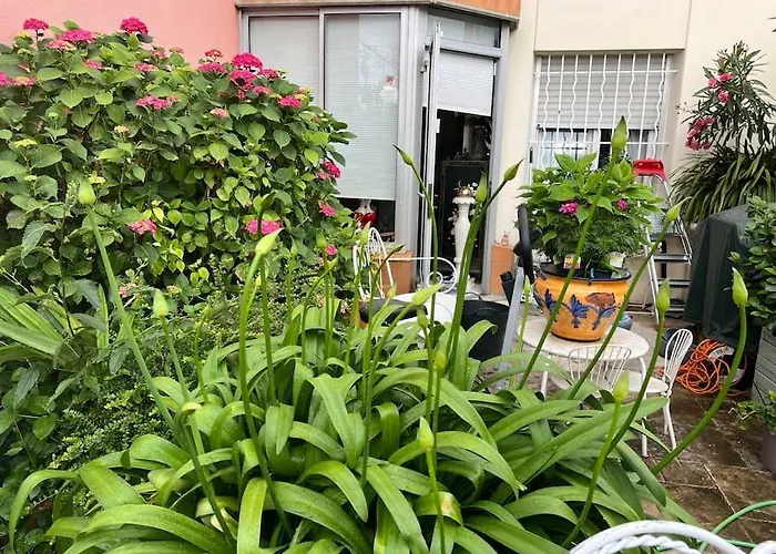 Apparemment Proche Tram بلانياك