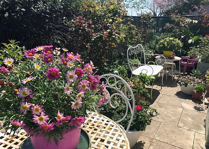 Apparemment Proche Tram * بلانياك