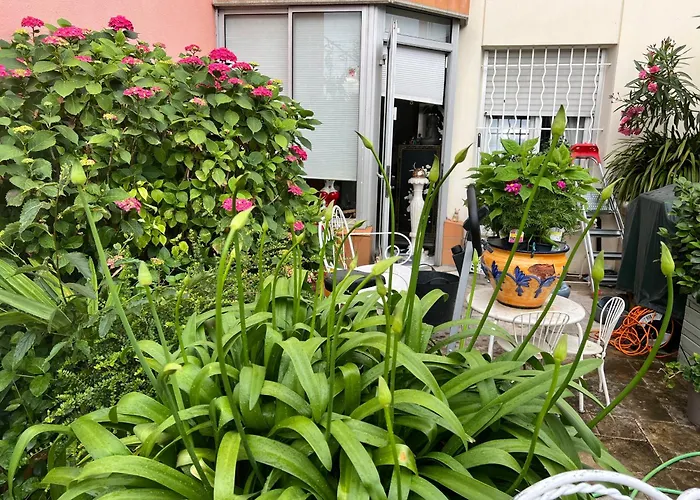 Apparemment Proche Tram شقة *