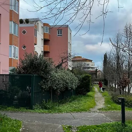 Apparemment Proche Tram Blagnac