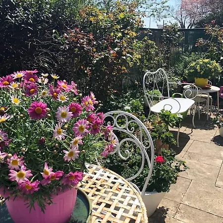 Apparemment Proche Tram * Blagnac